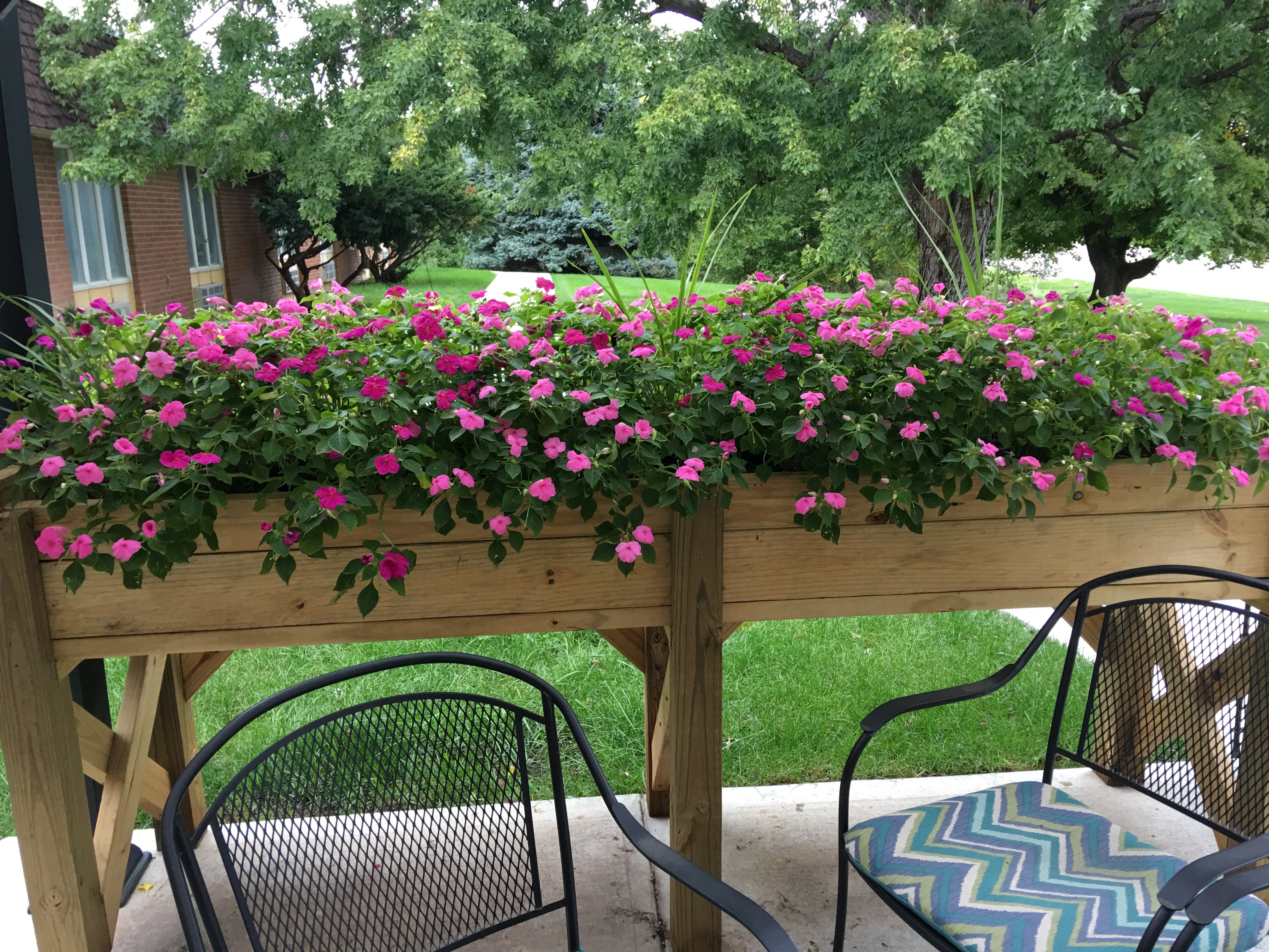 Image of my Eagle Scout project