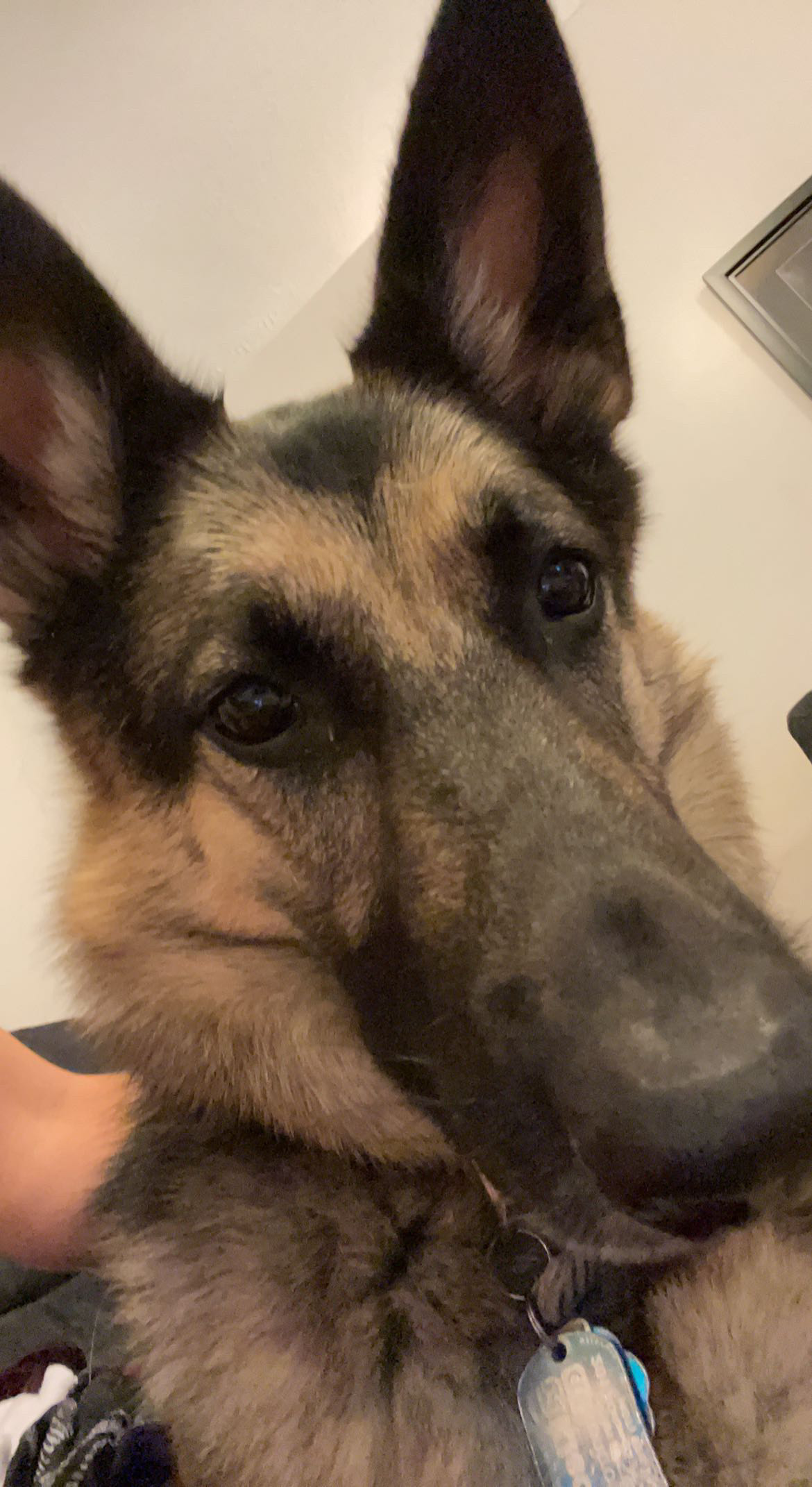 Image of my Eagle Scout project